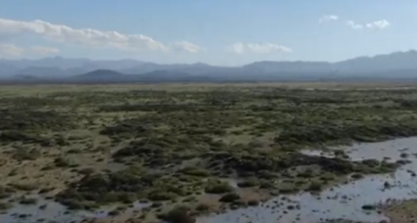 LLANCANELO DESASTRE AMBIENTAL TANTO IRRIGACI&Oacute;N COMO LA SECRETAR&Iacute;A DE AMBIENTE RESPONSABLES.