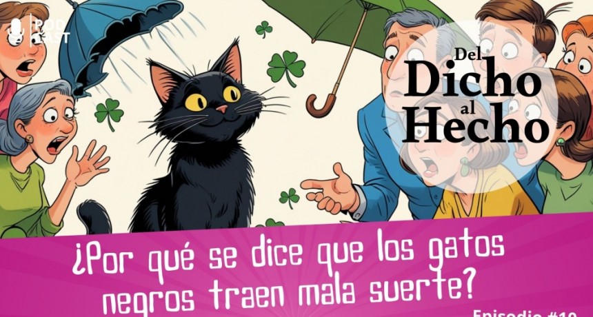 DEL DICHO AL HECHO " LA MALA SUERTE Y LOS GATOS NEGROS"