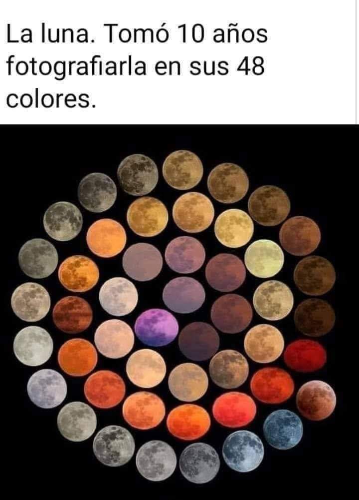 CURIOSIDADES.-