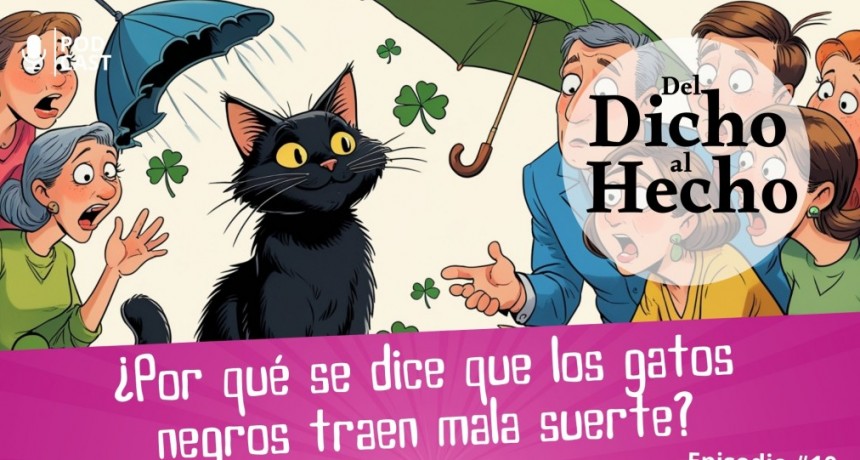 DEL DICHO AL HECHO, "&iquest;  PORQUE SE DICE, QUE LOS GATOS NEGROS TRAEN MALA SUERTE?