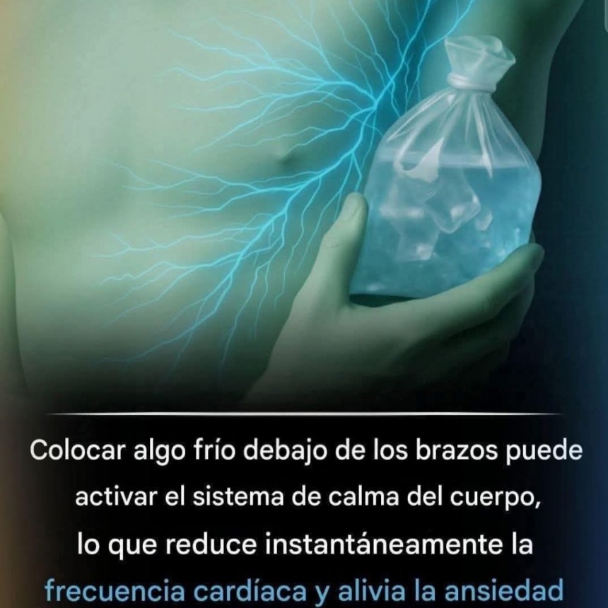 CURIOSIDADES.-