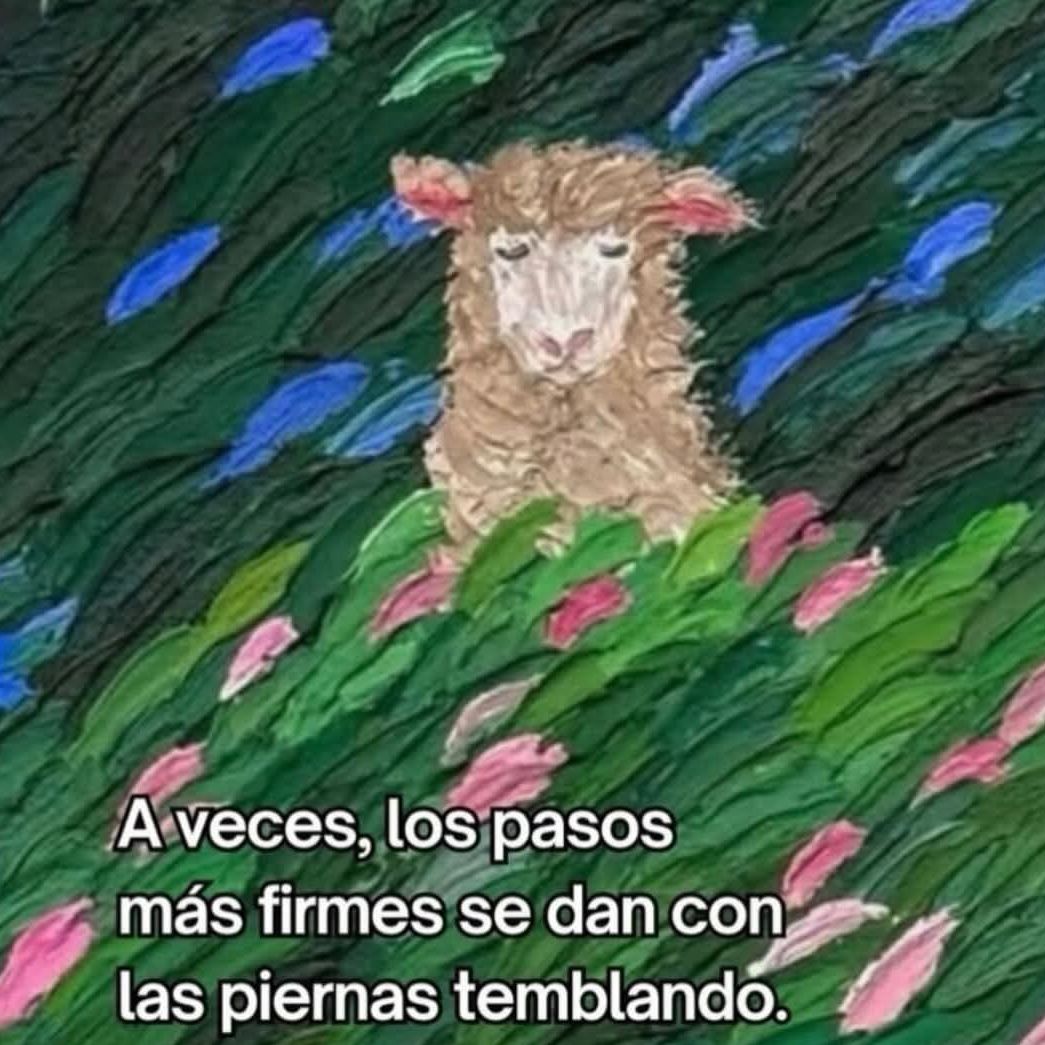 CITAS Y FRASES.-