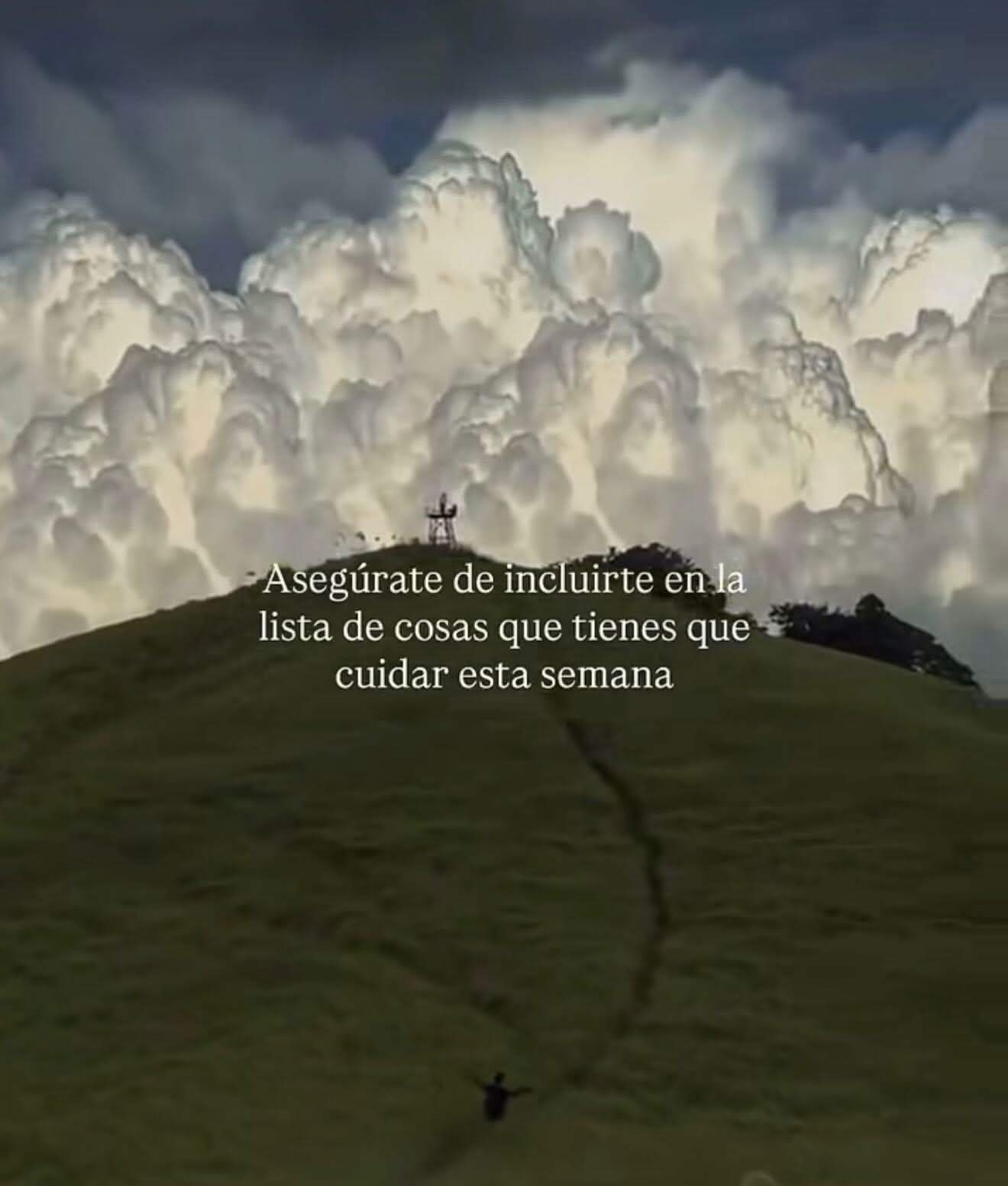 CITAS Y FRASES.-