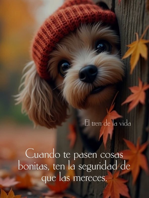 LA VIDA.-