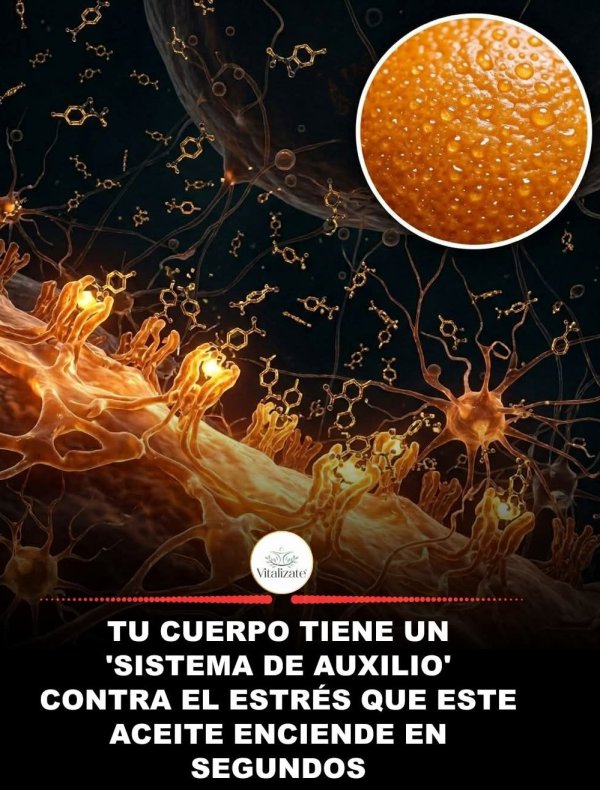 CURIOSIDADES.-