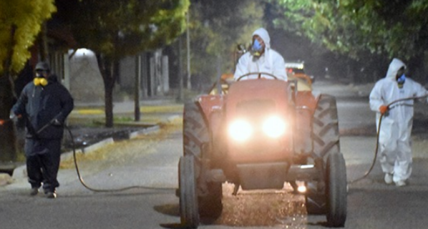 TUNUY&Aacute;N:Cronograma de fumigaci&oacute;n contra la chinche del arce