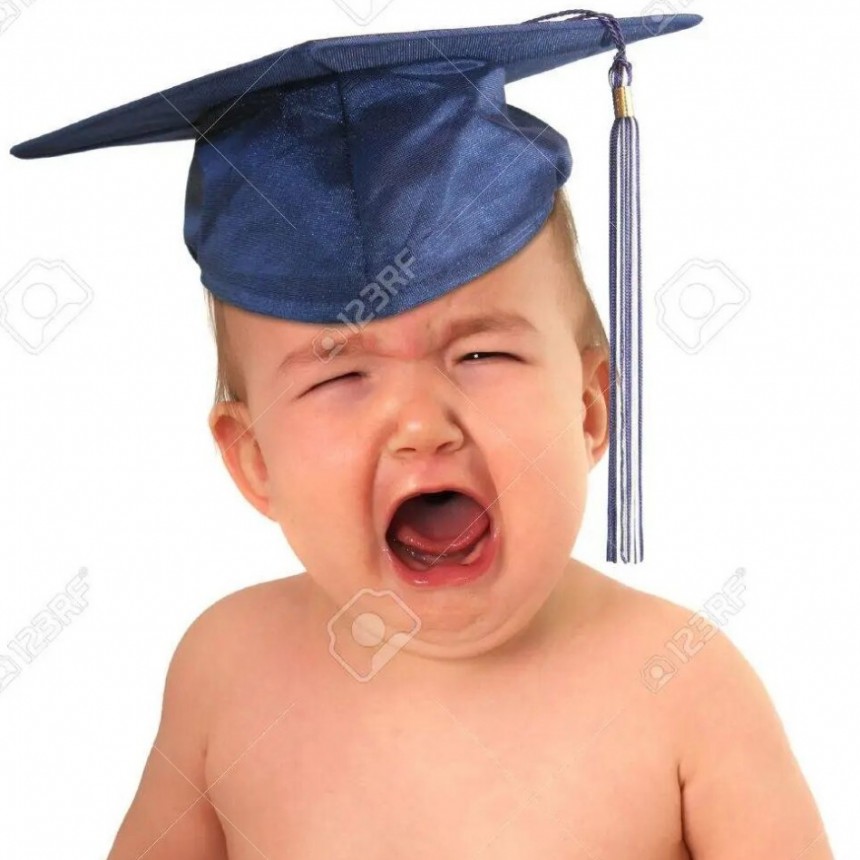 CORNEJO Y SU PROPUESTA EN EDUCACI&Oacute;N, VIRI VIRI, VAC&Iacute;A Y MUY POCO PROFESIONAL.