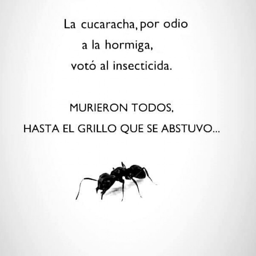 ARGENTINA INMERSA EN EL &ldquo;VOTO INSECTICIDA&rdquo; CUANDO EL ODIO ES M&Aacute;S FUERTE