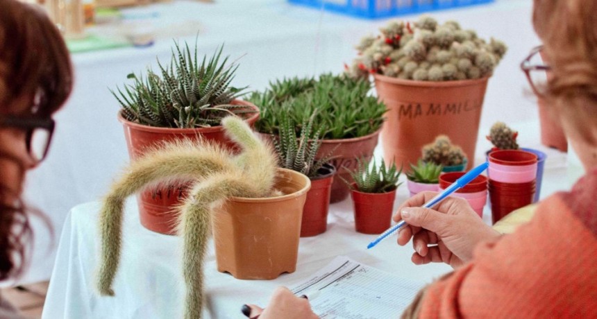 TUPUNGATO: INSCRIPCIONES PARA PARTICIPAR DEL PLAN INTEGRAL DE CAPACITACIONES PARA EMPRENDEDORES Y EMPRENDEDORAS DE LA ECONOM&Iacute;A SOCIAL.