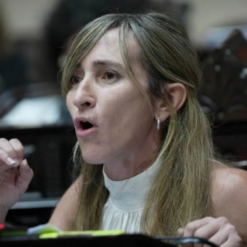 El bloque de Milei proponen derogar la ley que les permite a los legisladores estacionar en cualquier parte.
