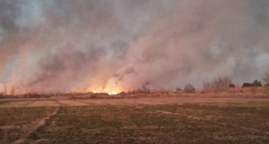 EL GRAVE INCENDIO PROVOCADO EN LAVALLE DEL QUE NADIE HABLA, CONTAMINACION CORRUPTA, SILENCIO C&Oacute;MPLICE DEL GOBIERNO Y LOS HIJOS DE LA PAUTA
