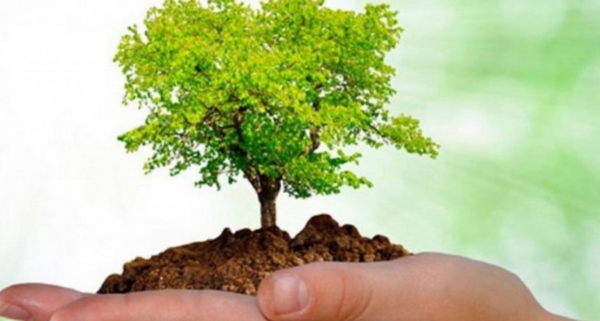 Mes del &Aacute;rbol: Tupungato alienta a ser parte de las acciones eco sostenibles de la Muni
