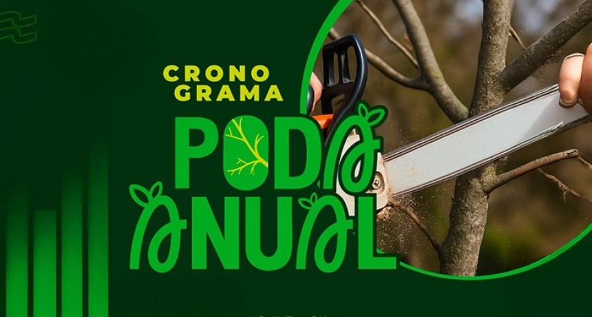 TUNUY&Aacute;N:Comienza el cronograma de poda en calles y barrios