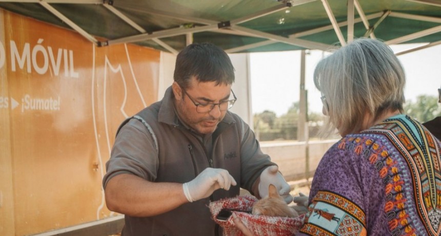 Atenci&oacute;n La Arboleda: ma&ntilde;ana y pasado atender&aacute; el Quir&oacute;fano M&oacute;vil de Esterilizaci&oacute;n de Animales Dom&eacute;sticos en B&deg; Los Cerezos