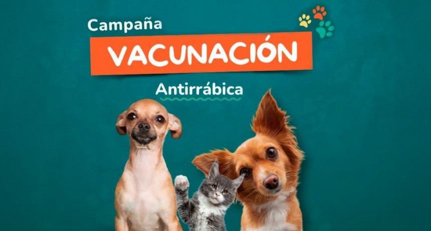 Tupungato inicia la Campa&ntilde;a de Vacunaci&oacute;n Antirr&aacute;bica 2025
