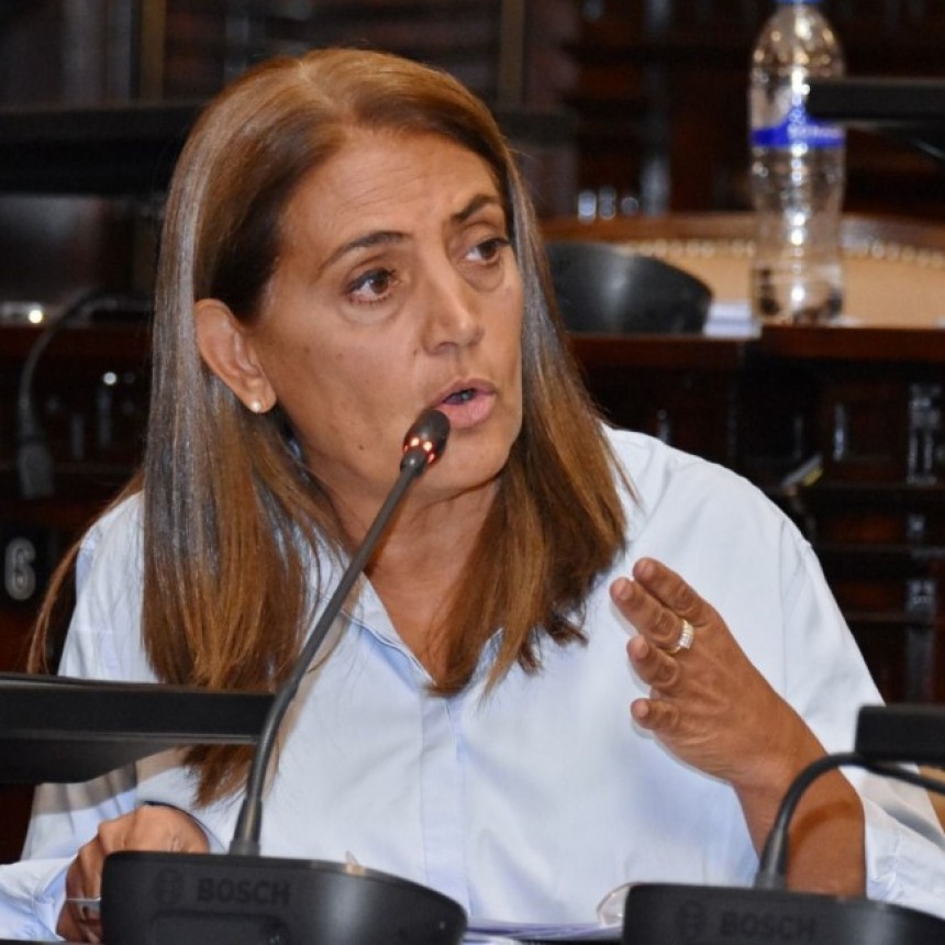 DIPUTADA PROVINCIAL GABRIELA LIZANA: SU MIRADA FRENTE A LA PRIVATIZACI&Oacute;N DE I.M.P.S.A.