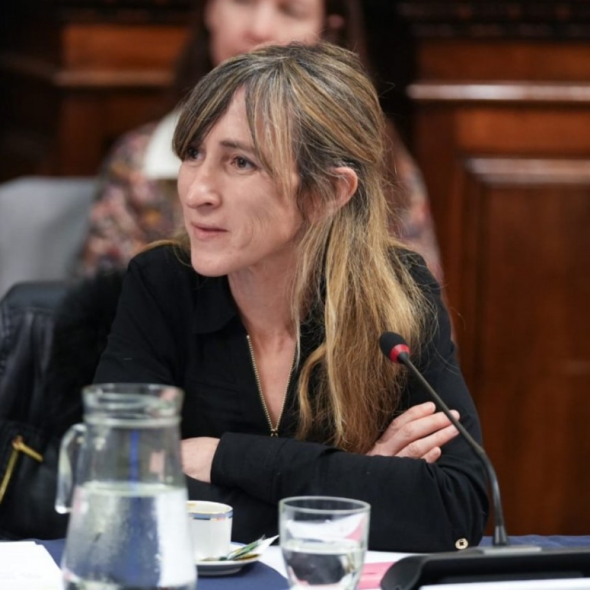 La Diputada Mercedes Llano se manifest&oacute; a favor de la privatizaci&oacute;n de IMPSA.