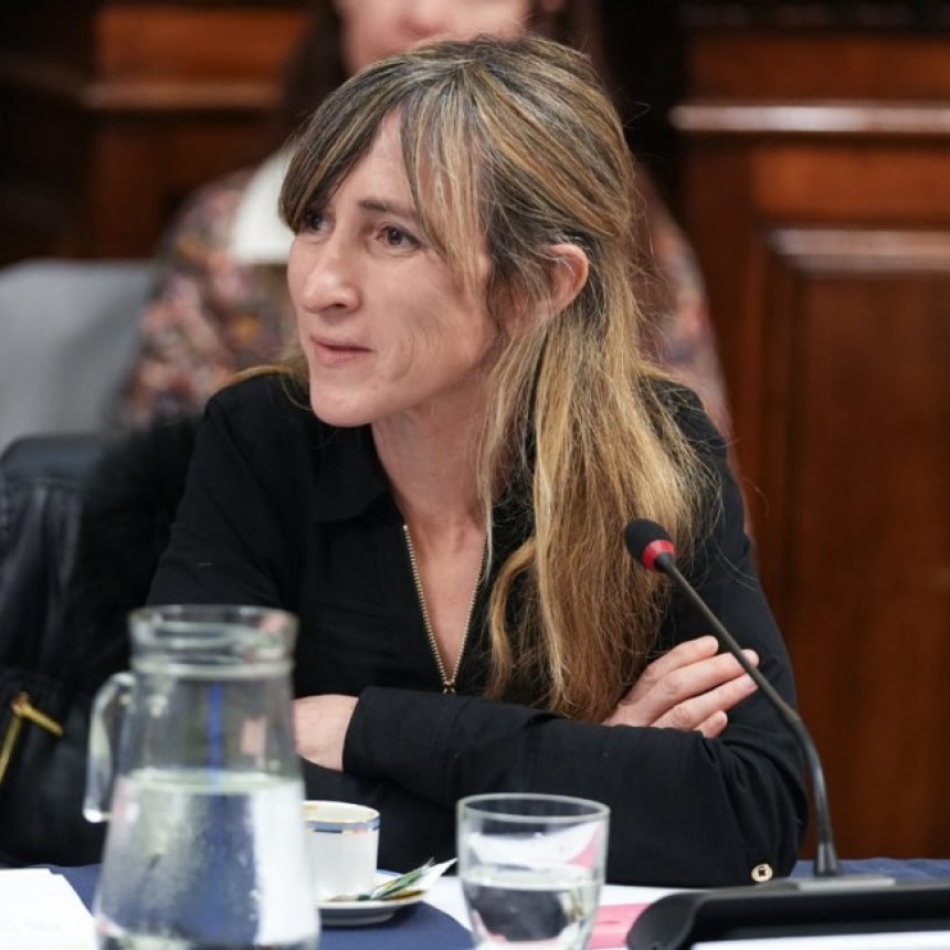 Declaracion y aclaraci&oacute;n Diputada Nacional Mercedes Llano