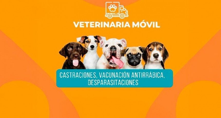 Esta semana la Veterinaria M&oacute;vil llega al Barrio UEFA