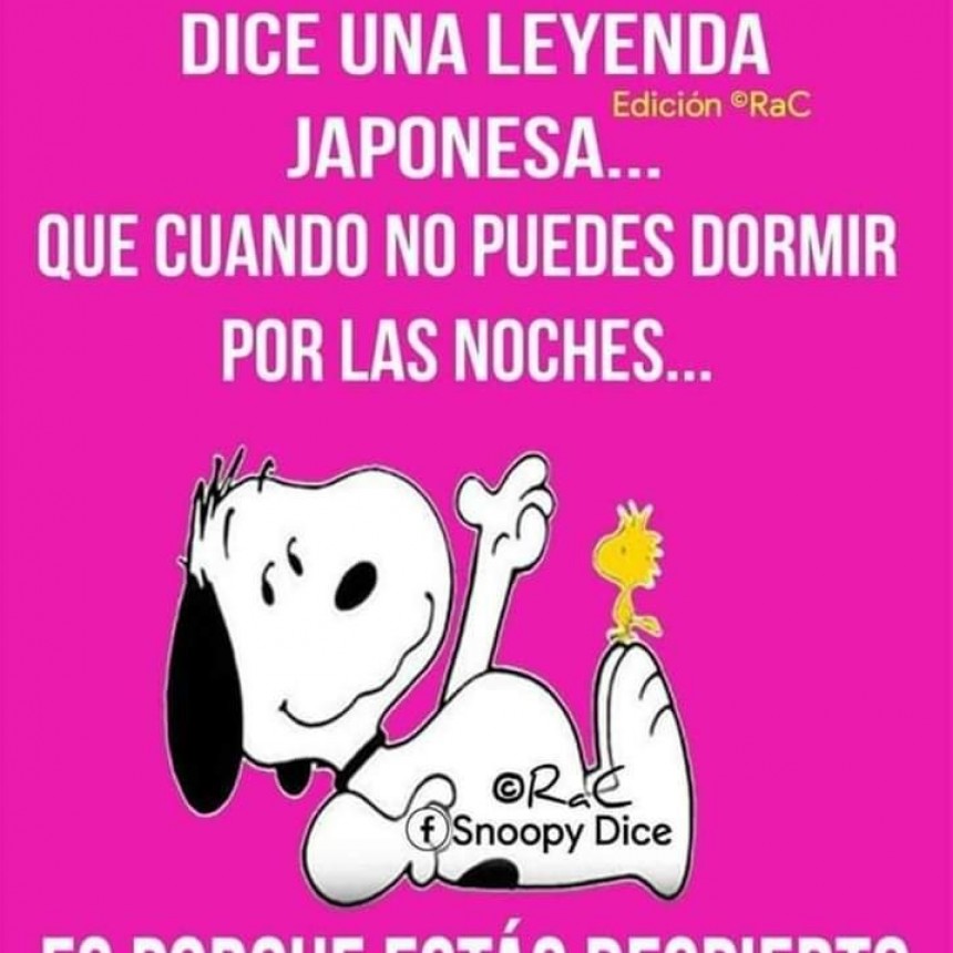 UN POCO DE HUMOR.-