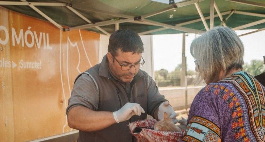 TUPUNGATO: TRABAJO CONJUNTO PARA EL BIENESTAR ANIMAL; BALANCE DE ESTERILIZACI&Oacute;N Y VACUNACI&Oacute;N DE ANIMALES